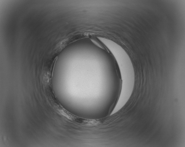 X0000080710621200701121819