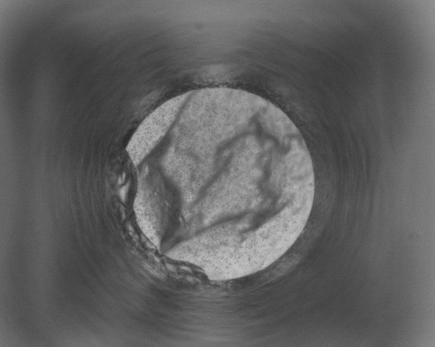 X0000080710624200701121819