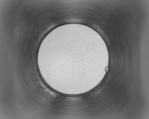 X0000080710625200701121818