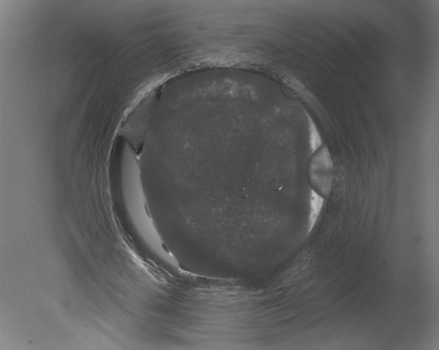 X0000080710626200701121818