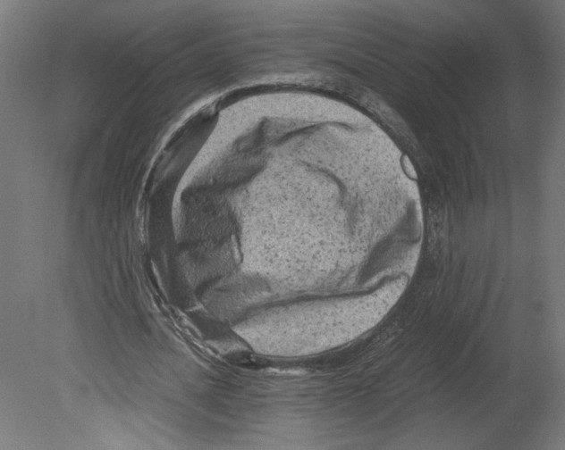 X0000080710628200701121818