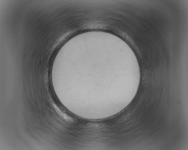 X0000080710629200701121818