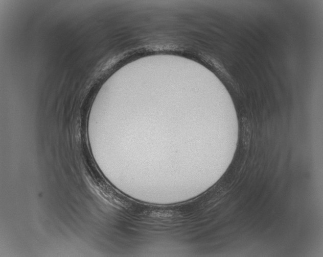 X0000080710631200701121818