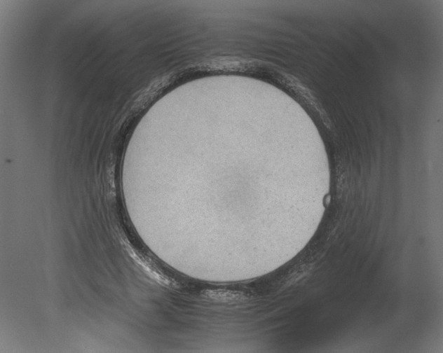 X0000080710633200701121818