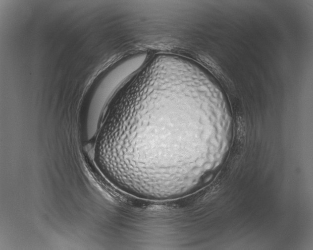 X0000080710634200701121818