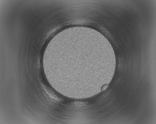 X0000080710636200701121818