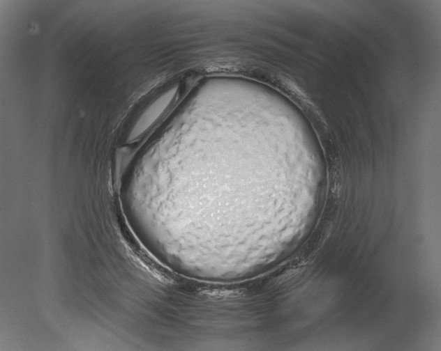 X0000080710637200701121818