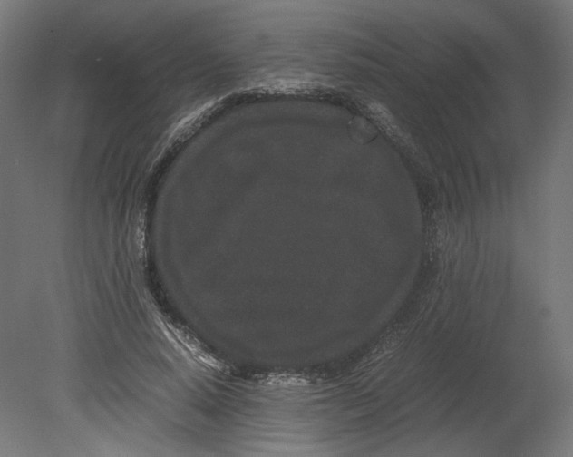 X0000080710640200701121818