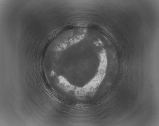 X0000080710641200701121818