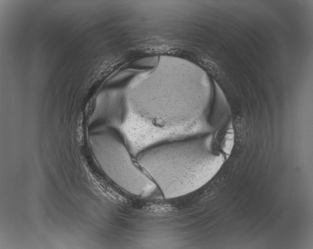 X0000080710642200701121818