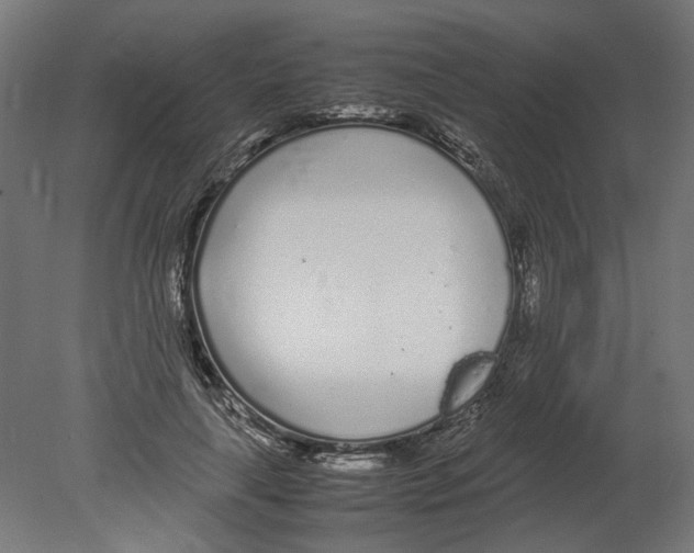 X0000080710643200701121818