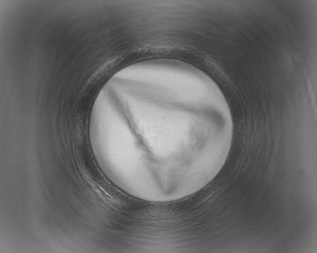 X0000080710644200701121818