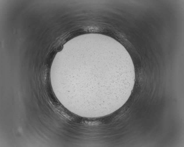 X0000080710645200701121818