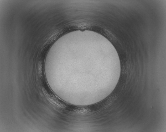 X0000080710646200701121818