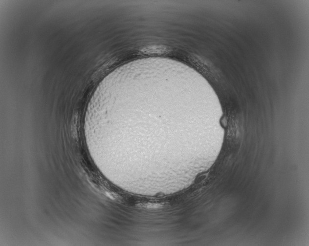 X0000080710647200701121818