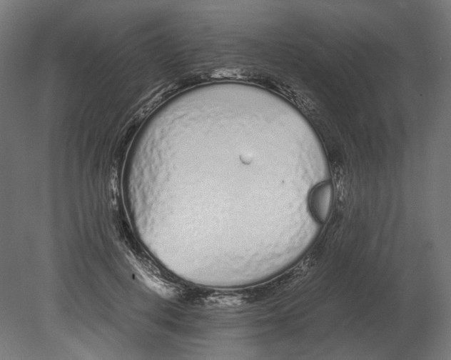 X0000080710648200701121818