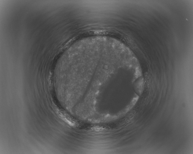 X0000080710650200701121818