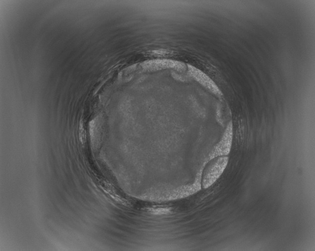 X0000080710651200701121819