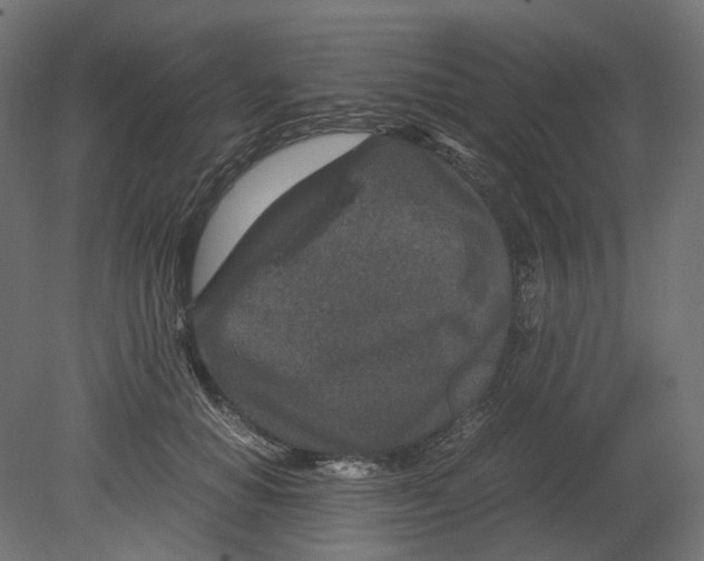 X0000080710654200701121819