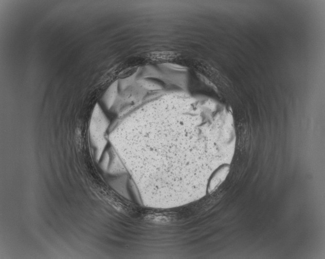 X0000080710655200701121819