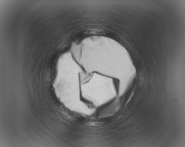 X0000080710657200701121819