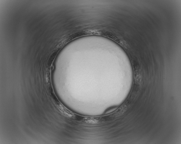 X0000080710658200701121819