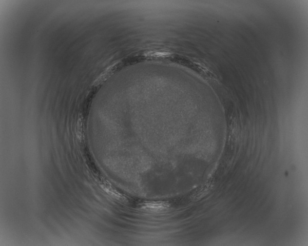 X0000080710659200701121819