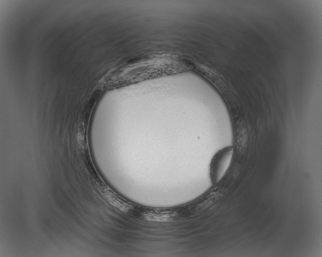 X0000080710661200701121819