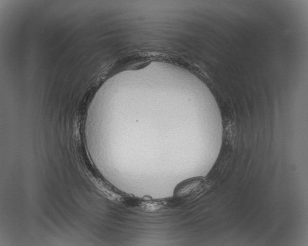 X0000080710662200701121819