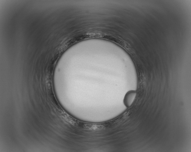 X0000080710663200701121819