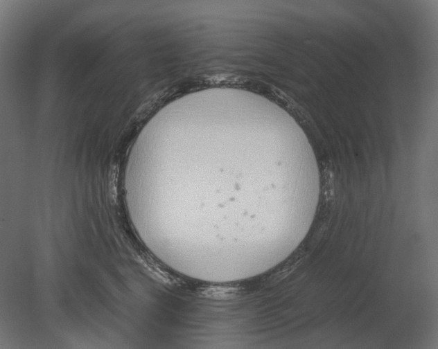 X0000080710664200701121819