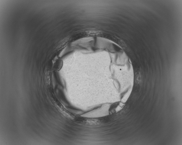 X0000080710666200701121819