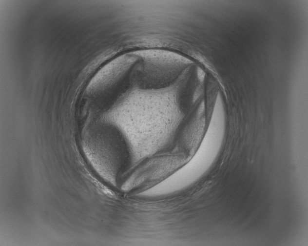 X0000080710673200701121818