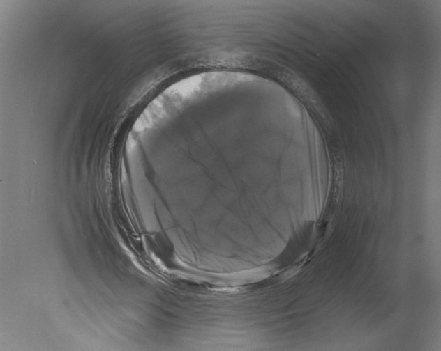 X0000080710674200701121818