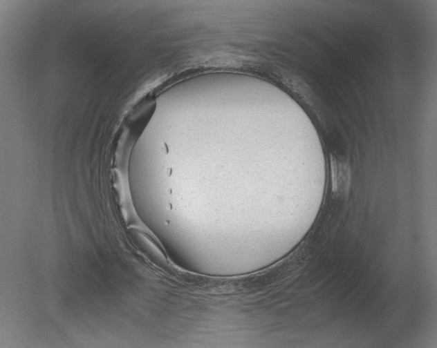 X0000080710675200701121818