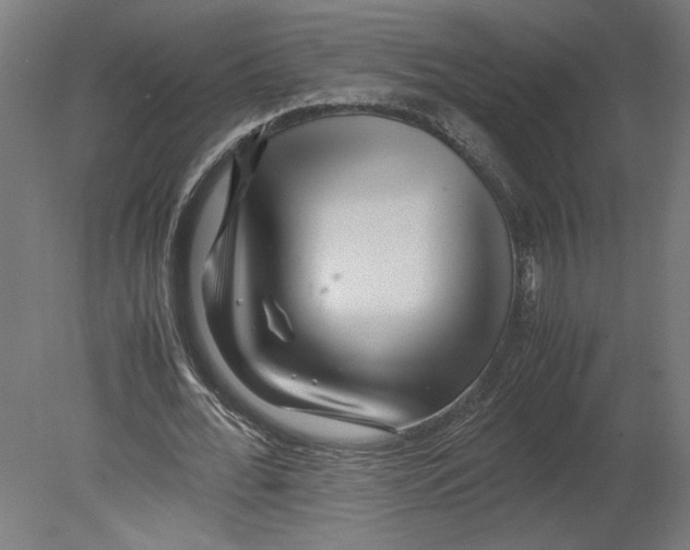 X0000080710676200701121818