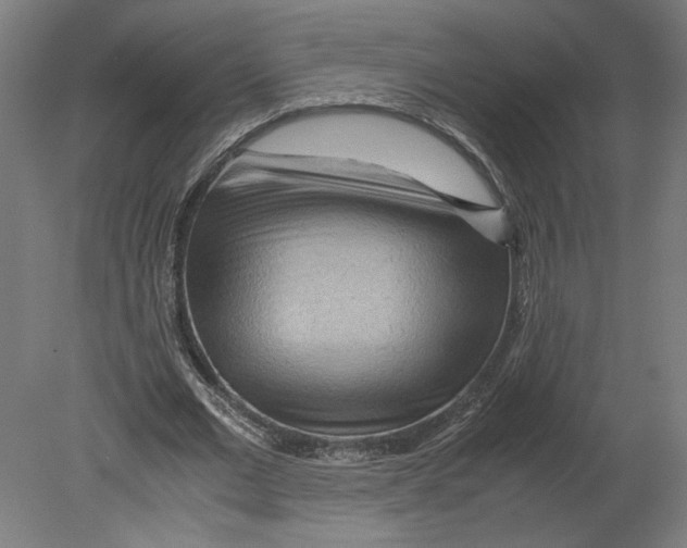 X0000080710677200701121818