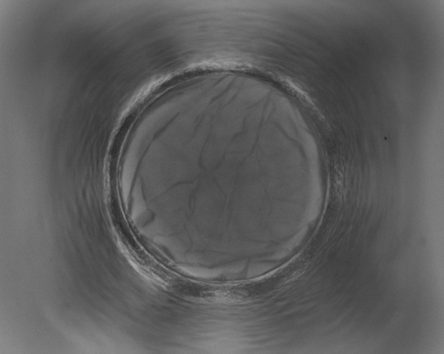 X0000080710678200701121818