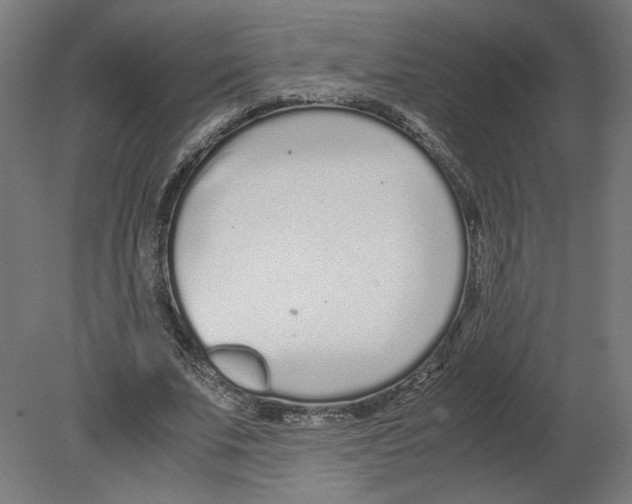 X0000080710679200701121818