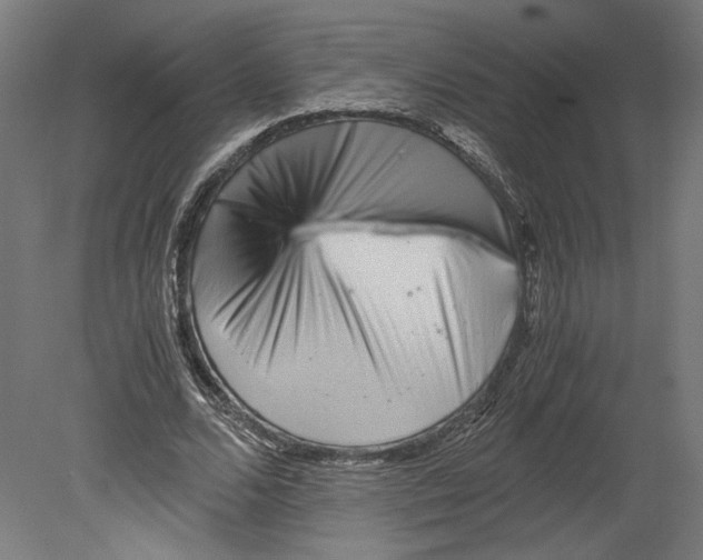 X0000080710680200701121818