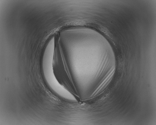 X0000080710681200701121818