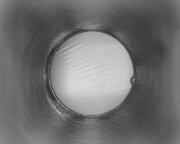 X0000080710682200701121818