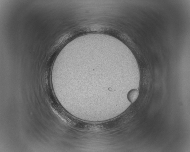 X0000080710683200701121818