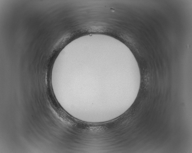 X0000080710686200701121818