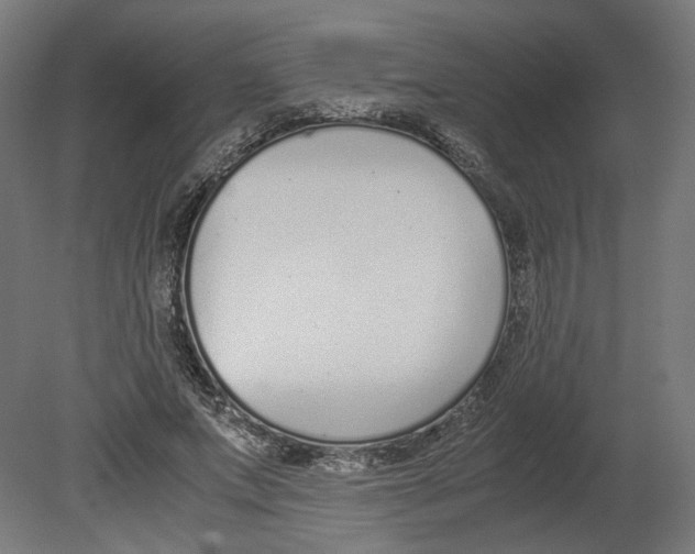 X0000080710687200701121818