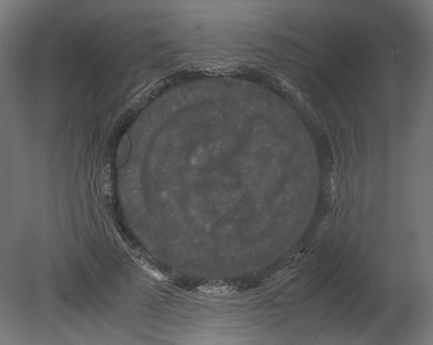 X0000080710689200701121818