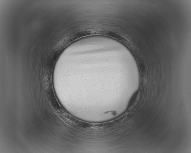 X0000080710691200701121818