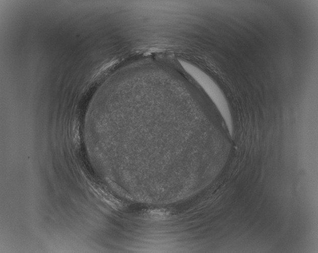 X0000080710692200701121818