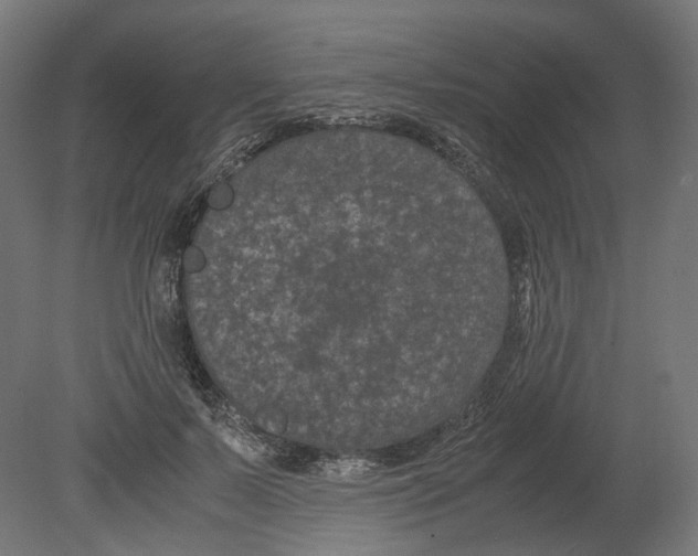 X0000080710695200701121818