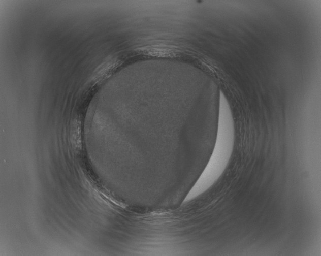 X0000080710696200701121818